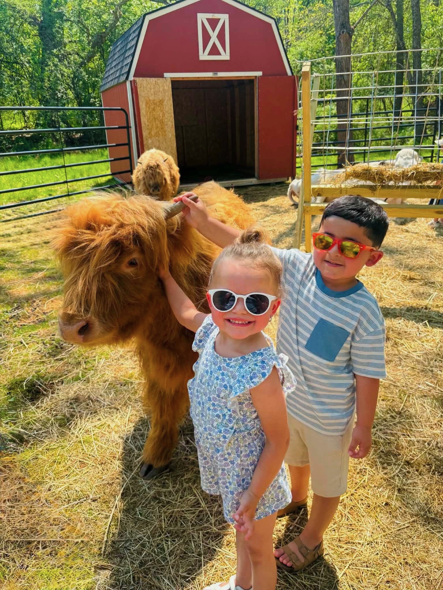 Goshen NY Petting Zoo Near Legoland NY
